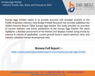 Europe Eggs Market report.pptx